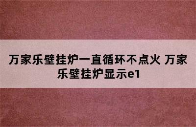 万家乐壁挂炉一直循环不点火 万家乐壁挂炉显示e1